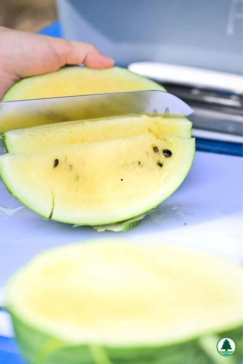 香港网红吃瓜视频,揭秘娱乐圈幕后风云