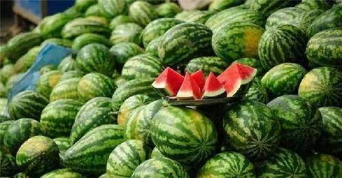 网红富贵闲人吃瓜是真的吗,真相揭秘