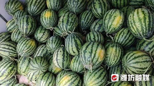 康县二饼网红吃瓜视频,网红吃瓜视频引发全网热议，揭秘当地美食魅力