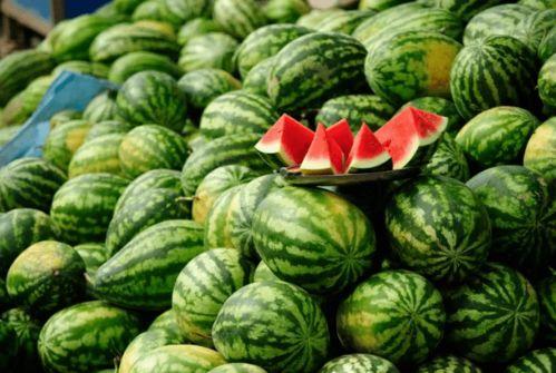 网红吃瓜免费爆料合集下载,揭秘娱乐圈幕后真相